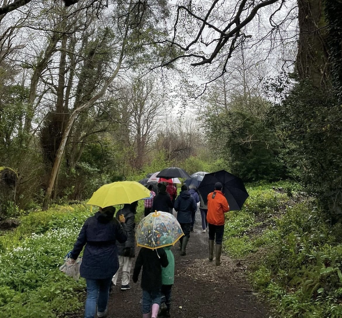 Biodiversity Walk at Altidore Castle